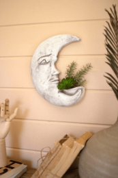 Clay Moon Wall Planter