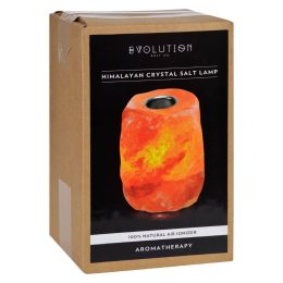 Evolution Salt Crystal Salt Lamp - Aromatherapy - 1 Count