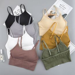 Women Sports Bra - Quick Dry Padded (Color: 7 Pairs)