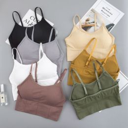 Women Sports Bra - Quick Dry Padded (Color: 7 Pairs)